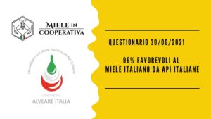 Scopri di più sull'articolo Aggiornamenti sul questionario dei Messaggeri del miele italiano