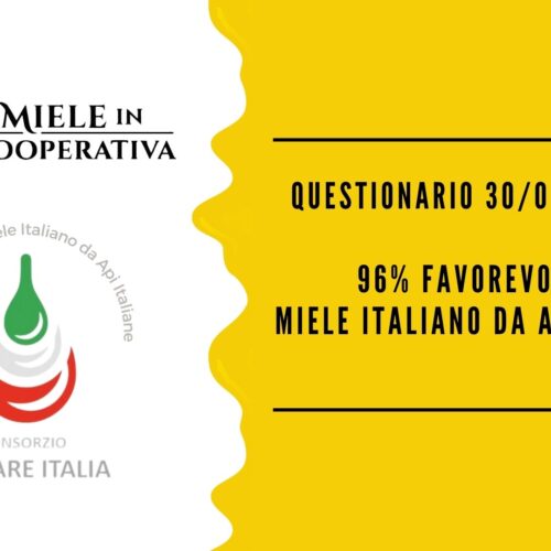 Aggiornamenti sul questionario dei Messaggeri del miele italiano