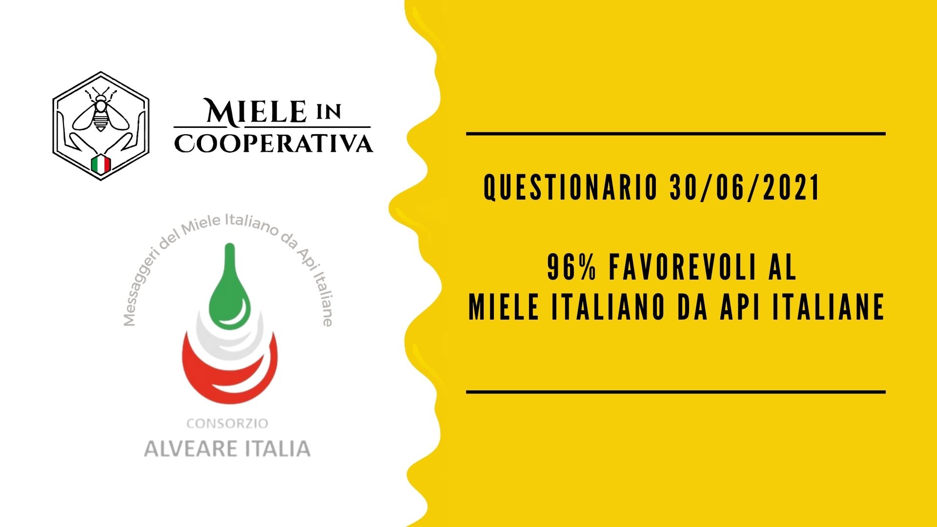 Al momento stai visualizzando Aggiornamenti sul questionario dei Messaggeri del miele italiano