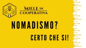 Scopri di più sull'articolo Nomadismo: certo che sì !