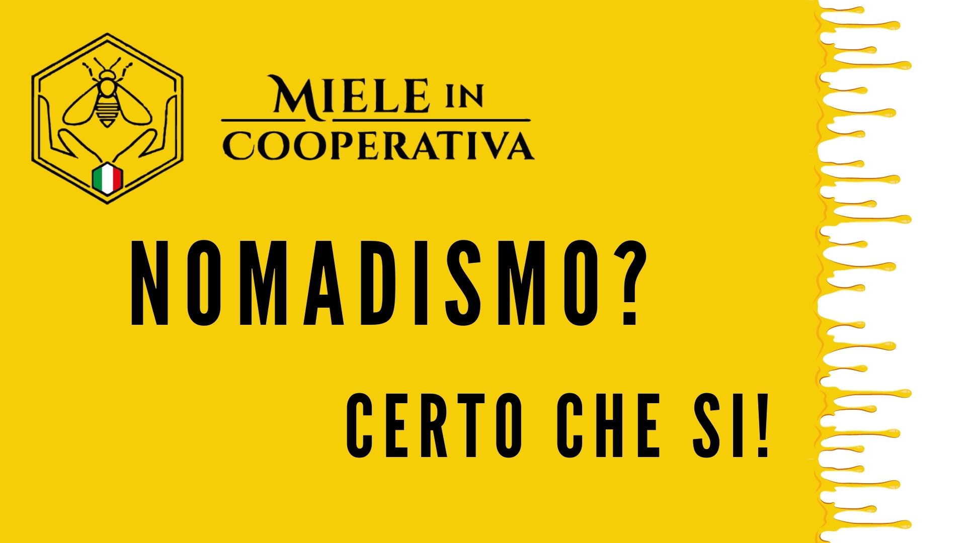 Al momento stai visualizzando Nomadismo: certo che sì !