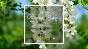 Scopri di più sull'articolo Auguri di Buona Pasqua!