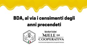 Scopri di più sull'articolo Come scaricare i dati dei censimenti degli anni precendeti? BDA colma il vuoto grazie a MiC