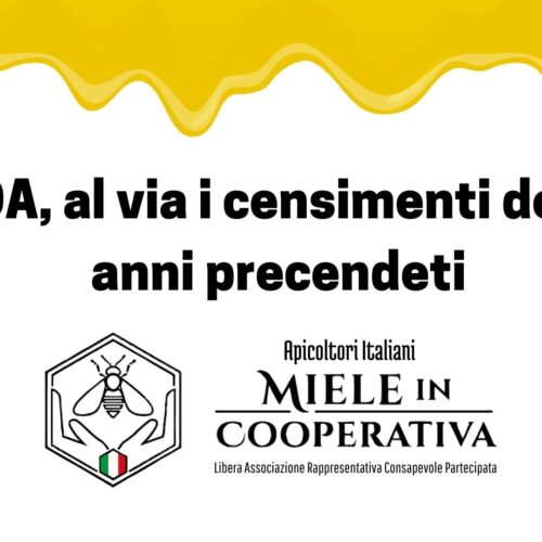Come scaricare i dati dei censimenti degli anni precendeti? BDA colma il vuoto grazie a MiC
