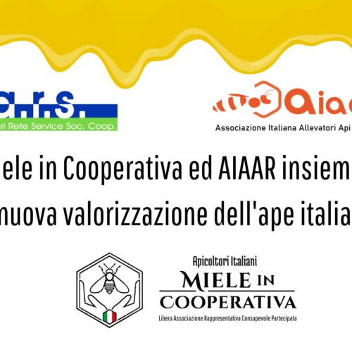 ARS, Miele in Cooperativa ed AIAAR insieme per una nuova valorizzazione dell’ape italiana