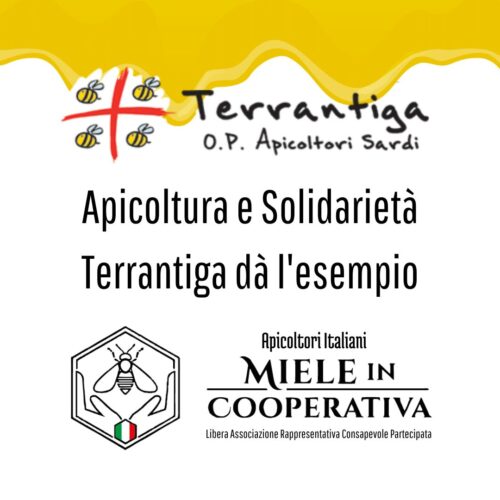 Apicoltura e solidarietà: Terrantiga dà l’esempio