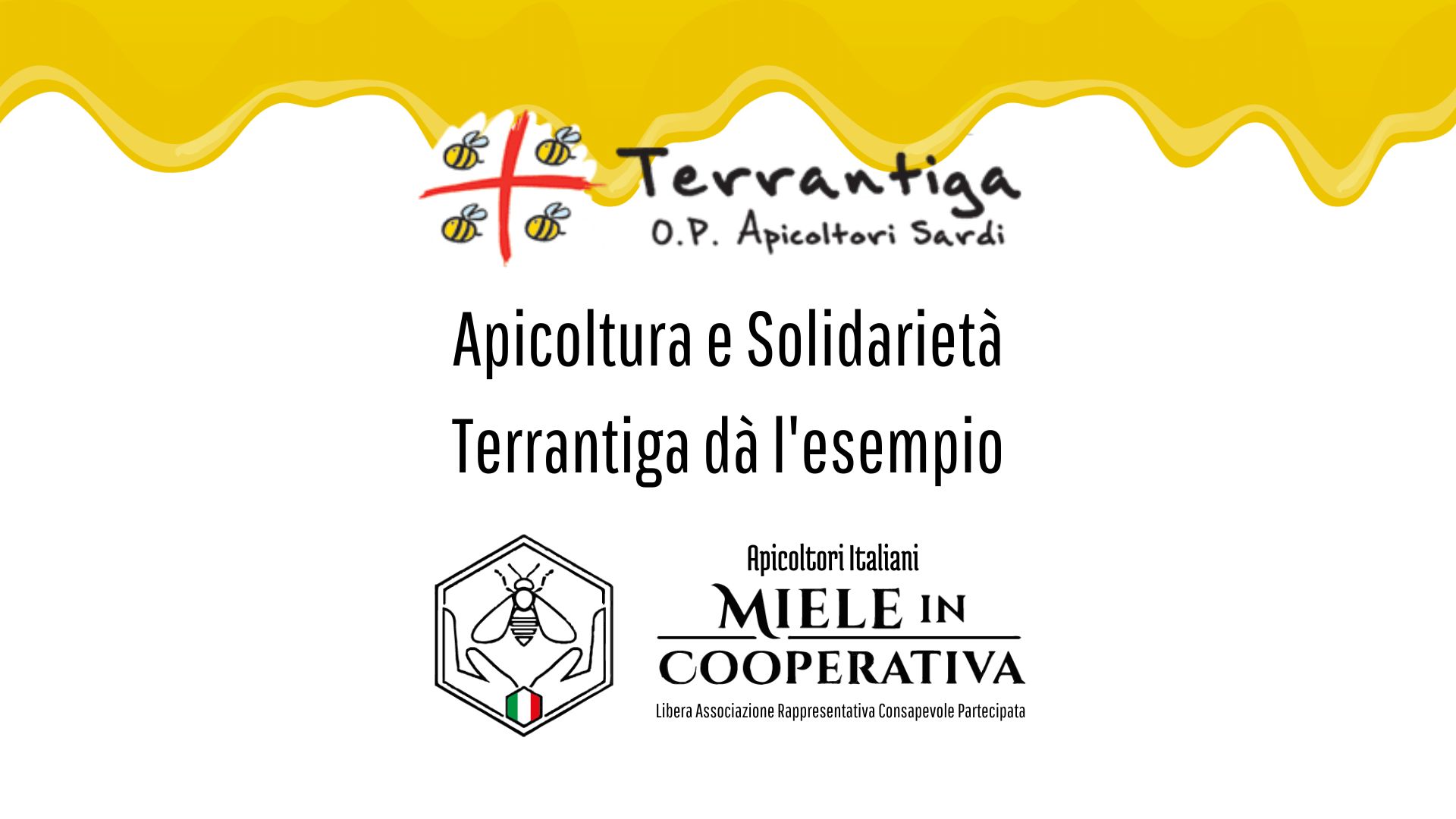 Al momento stai visualizzando Apicoltura e solidarietà: Terrantiga dà l’esempio