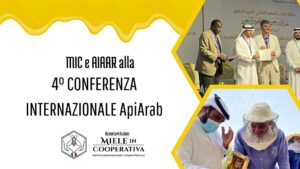 Scopri di più sull'articolo MIC e AIAAR alla 4° Conferenza Internazionale ApiArab