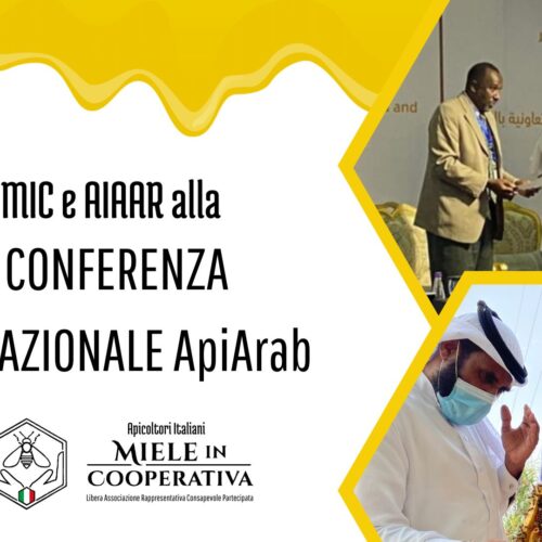 MIC e AIAAR alla 4° Conferenza Internazionale ApiArab