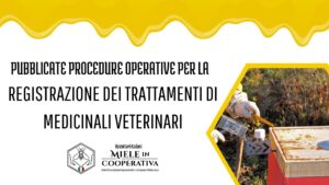 Scopri di più sull'articolo Pubblicate procedure operative per la registrazione dei trattamenti di medicinali veterinari somministrati alle api