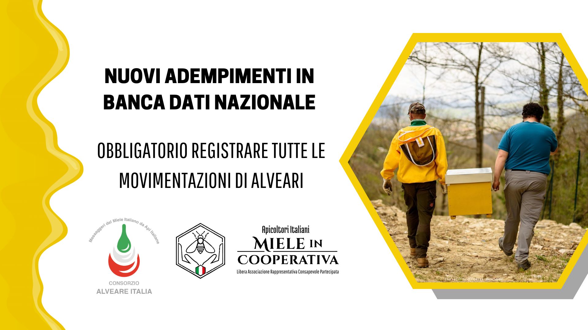 Al momento stai visualizzando News: Obbligatorio registrare tutte le movimentazioni di alveari