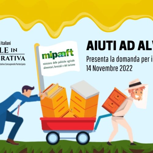 𝗣𝗥𝗜𝗠𝗔 𝗗𝗘𝗖𝗟𝗜𝗡𝗔𝗭𝗜𝗢𝗡𝗘 𝗗𝗜 𝗔𝗜𝗨𝗧𝗢 𝗔𝗗 𝗔𝗟𝗩𝗘𝗔𝗥𝗘