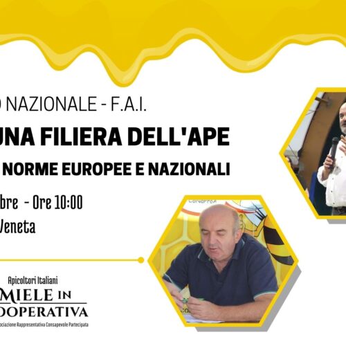 CONVEGNO NAZIONALE – F.A.I.