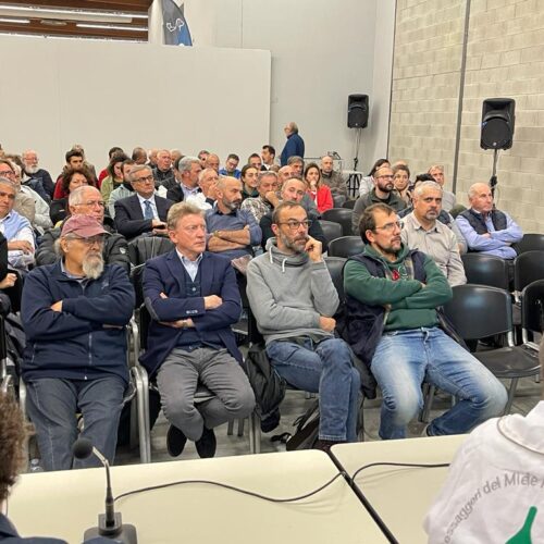 MiC torna ad Arezzo: c’è il pienone