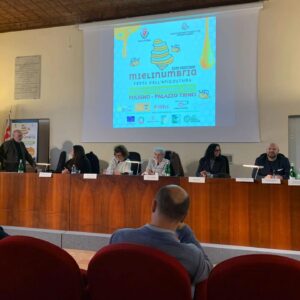 Scopri di più sull'articolo MiC in Umbria: continuano i sold out