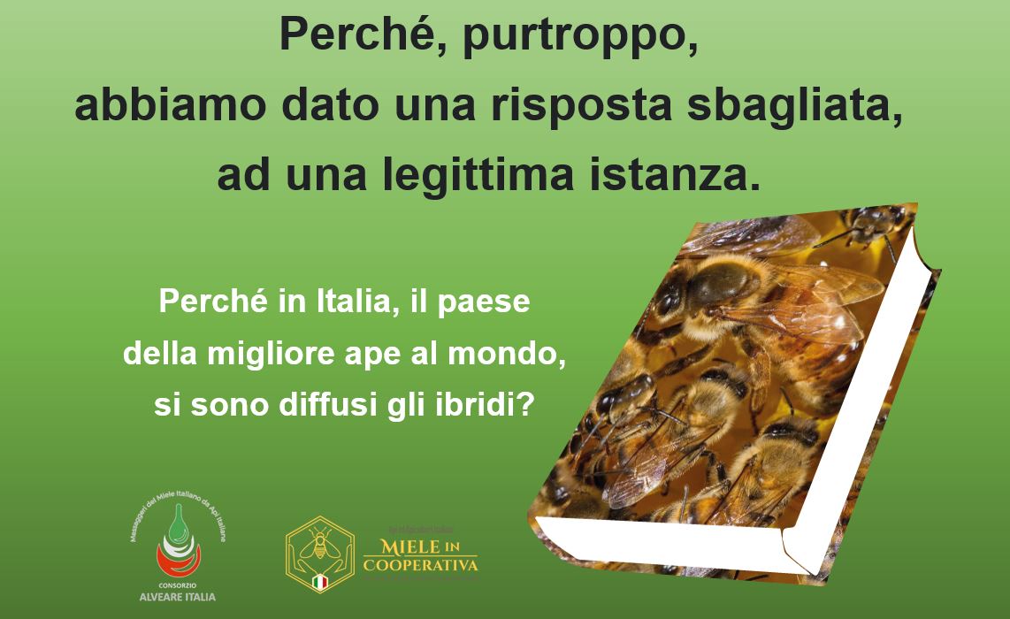 Al momento stai visualizzando PERCHE’ IN ITALIA, IL PAESE DELLA MIGLIORE APE AL MONDO, SI SONO DIFFUSI GLI IBRIDI?