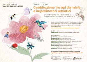 Scopri di più sull'articolo Incontro online Lunedì 13 Febbraio