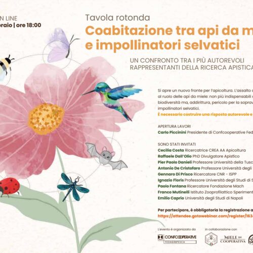 Incontro online Lunedì 13 Febbraio