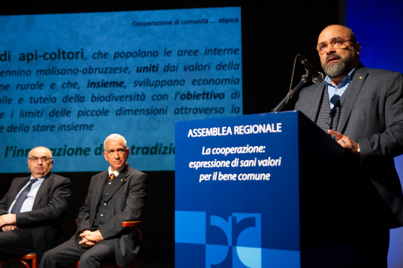 Al momento stai visualizzando Giornata mondiale api, fedagripesca sollecita l’indicazione del paese d’origine in etichetta per il miele