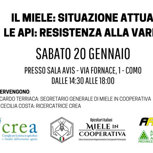 Convegno – Sabato 20 Gennaio – Como