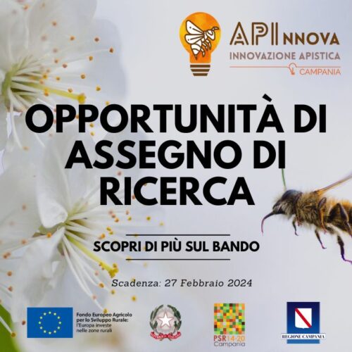 Bando di concorso: Opportunità Professionale nell’Ambito della Ricerca Apistica