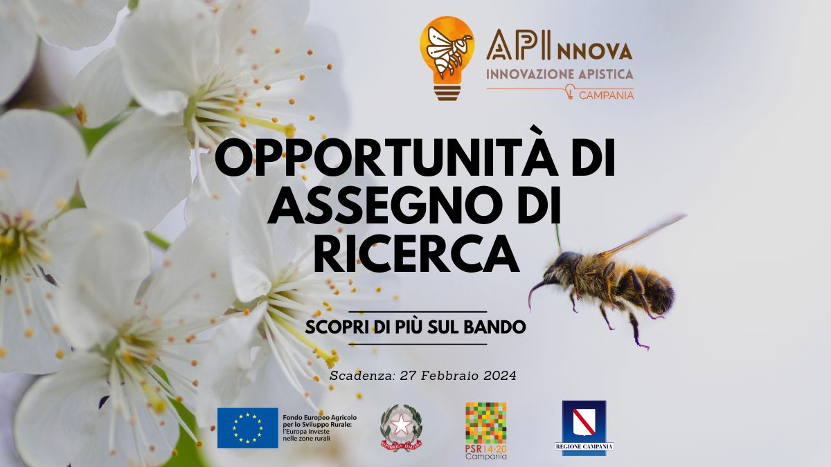Al momento stai visualizzando Bando di concorso: Opportunità Professionale nell’Ambito della Ricerca Apistica