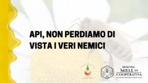 Scopri di più sull'articolo Api, non perdiamo di vista i veri nemici