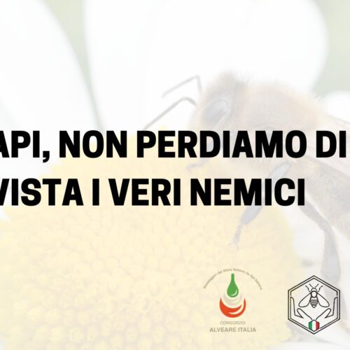 Api, non perdiamo di vista i veri nemici