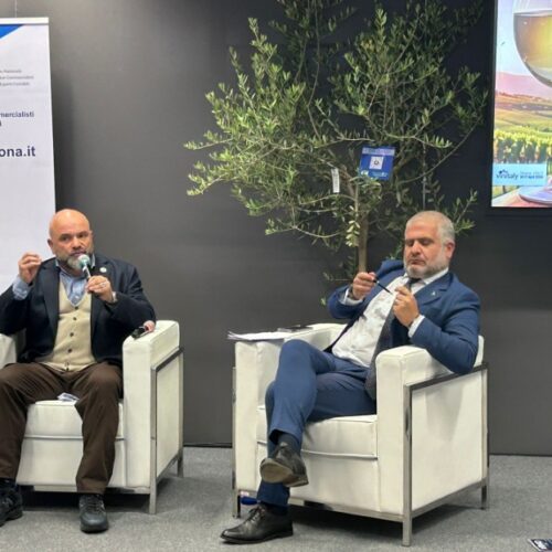 Sinergie Verdi: Viticoltura e Apicoltura Unite per la Sostenibilità al Vinitaly