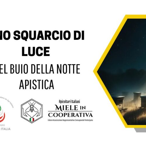 Approvata dal Parlamento europeo la Direttiva Breakfast. Passate le nuove norme comunitarie sul miele.