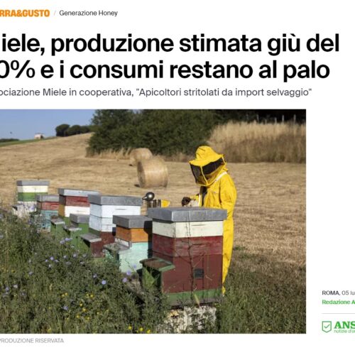 Crisi del Miele Italiano: Produzione in Calo e Consumi Stagnanti – Fonte: ANSA