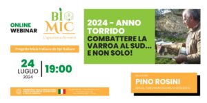 Scopri di più sull'articolo WEBINAR 24 LUGLIO 2024 – ORE 19:00