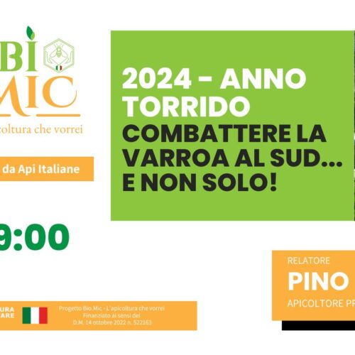 WEBINAR 24 LUGLIO 2024 – ORE 19:00