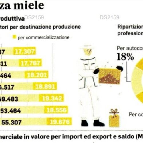 Apicoltura di Territorio, il valore aggiunto di un sigillo di qualità