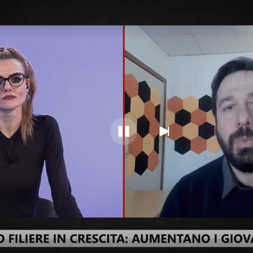 Cresce la Filiera del Miele nel Lazio, ma la Contraffazione Minaccia il Settore