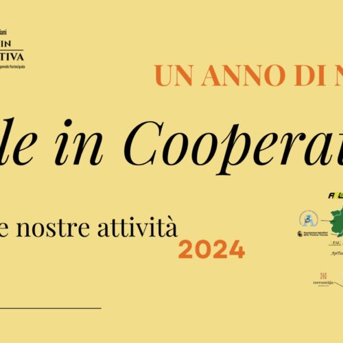 Un anno di noi