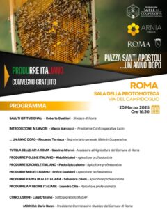 Scopri di più sull'articolo Roma Piazza Santi Apostoli… un anno dopo