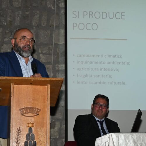 Più Controlli a Scaffale per Difendere il Vero Miele Italiano