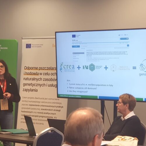 Workshop Coloss RNSBB 2025