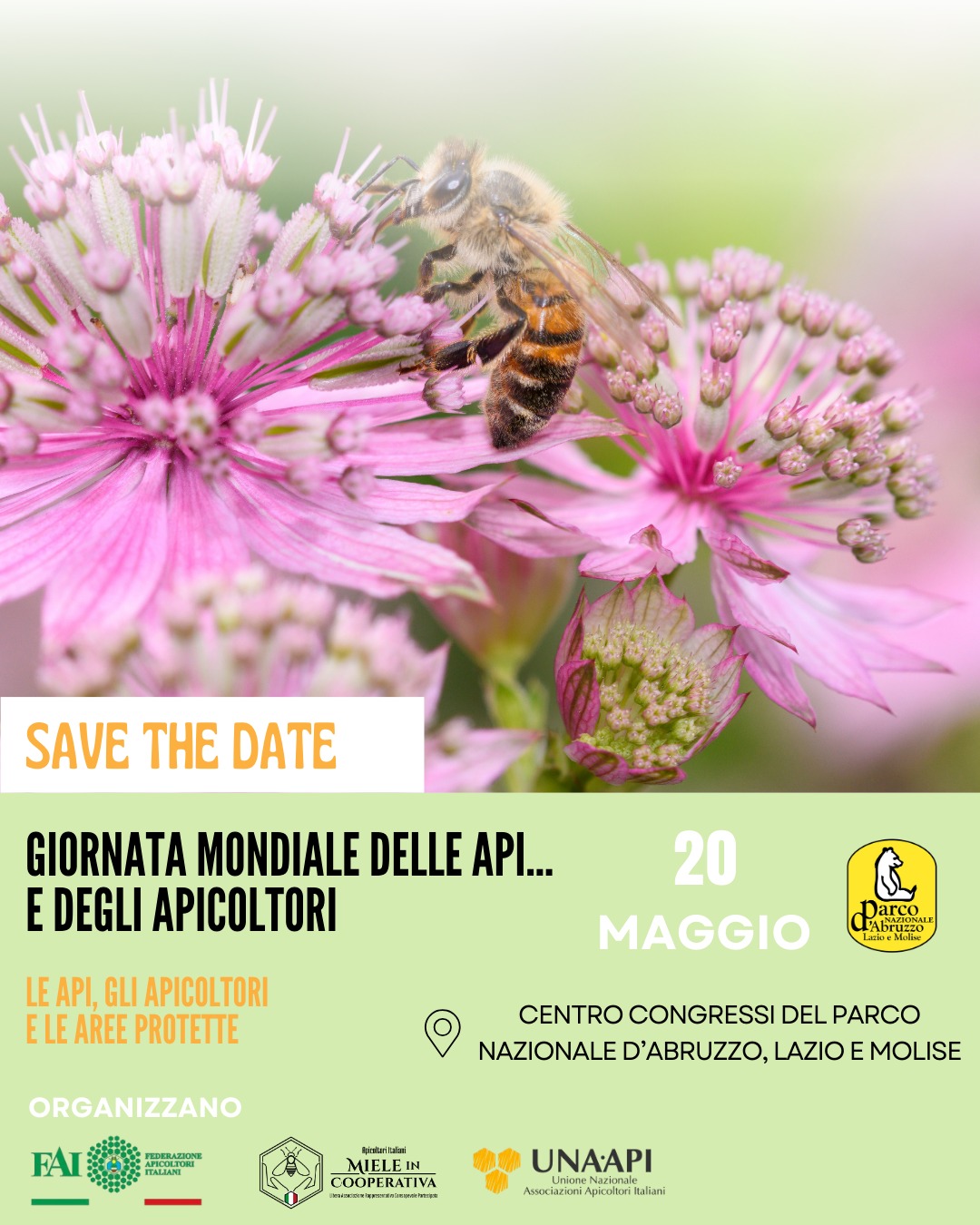 Al momento stai visualizzando Save the date: Giornata mondiale delle api 20 maggio
