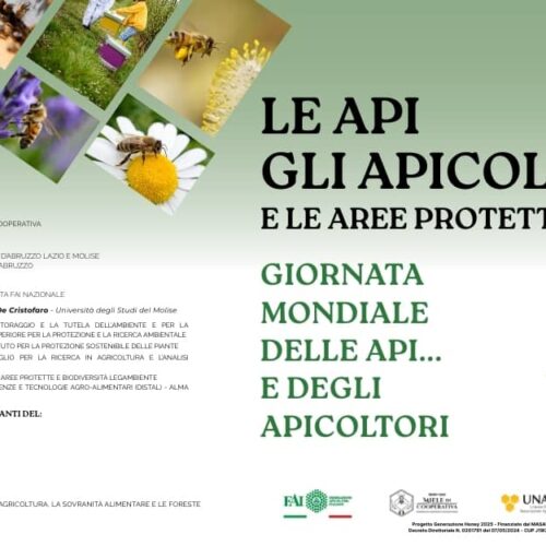 Online Webinar: 20 Maggio