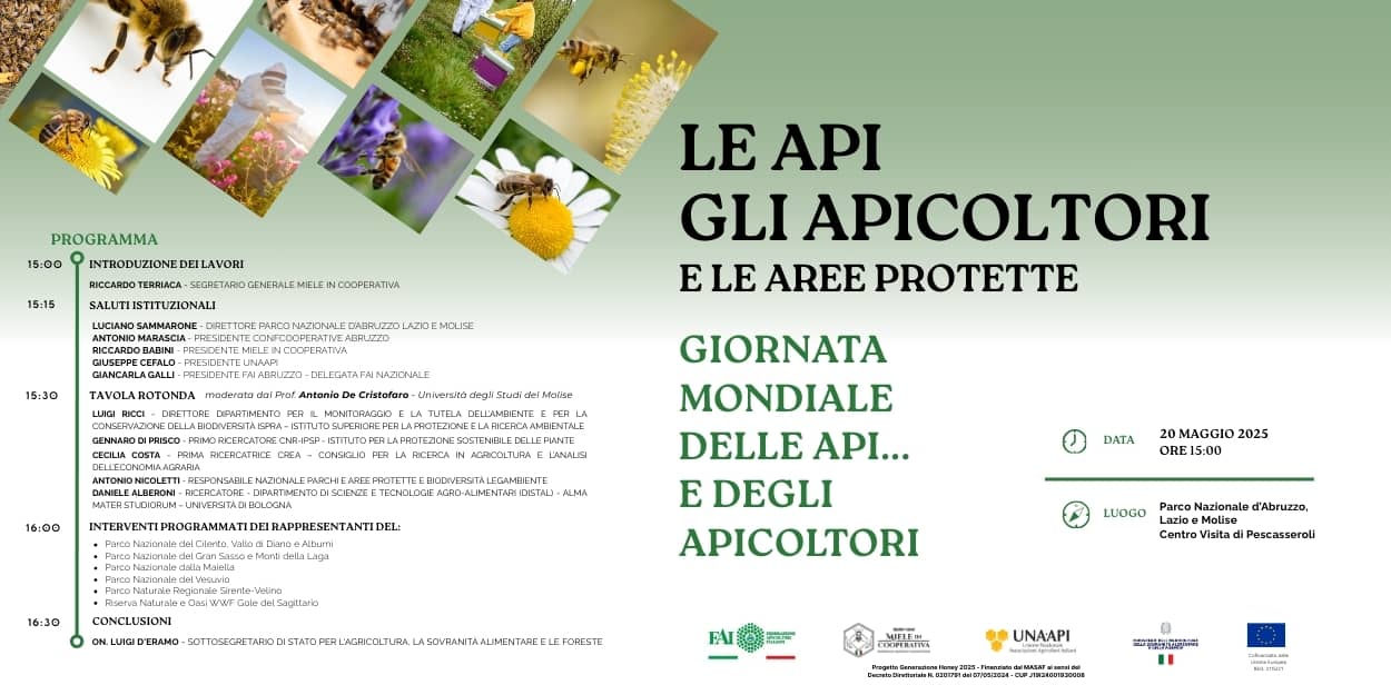Al momento stai visualizzando Online Webinar: 20 Maggio