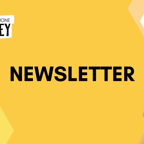 NEWSLETTER N. 6 – COABITAZIONE TRA  API ED ALTRI IMPOLLINATORI