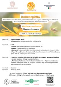 Scopri di più sull'articolo Webinar Conclusivo 23/06/2025: Analizzare il DNA del miele