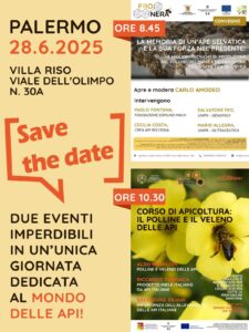 Scopri di più sull'articolo Giornata dell’Ape Siciliana: Scienza, Formazione e Biodiversità a Villa Riso