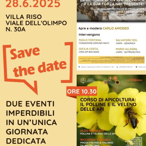 Giornata dell’Ape Siciliana: Scienza, Formazione e Biodiversità a Villa Riso