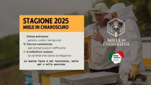 Scopri di più sull'articolo Stagione del miele 2025: luci e ombre di un anno difficile