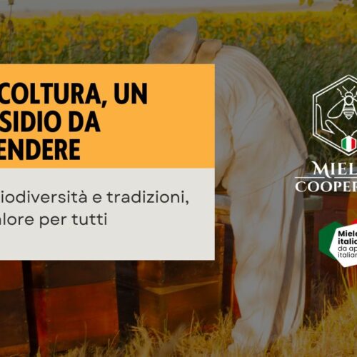 Apicoltura: una passione che diventa bene comune