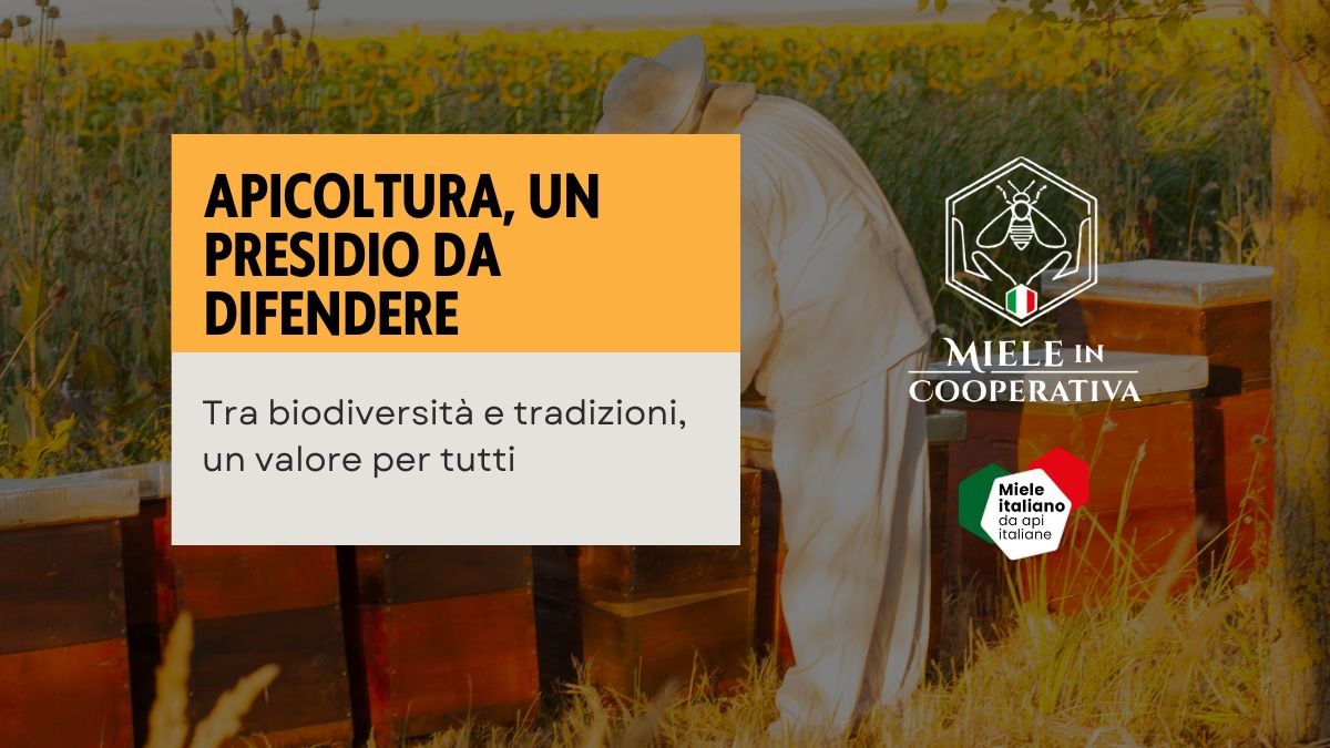 Al momento stai visualizzando Apicoltura: una passione che diventa bene comune