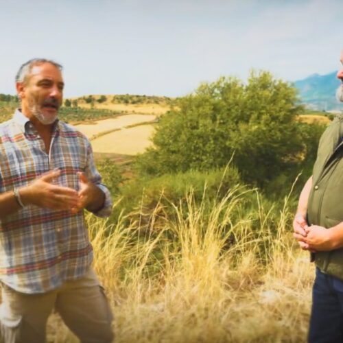 L’apicoltura siciliana protagonista a Melaverde: un viaggio tra tradizione, biodiversità e sostenibilità